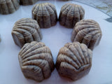 Crunchy Chocolates